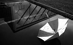 фото "After rain"