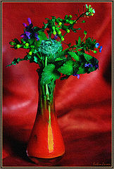 photo "complementary"
