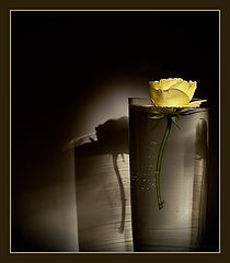photo "***"