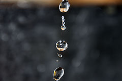 photo "***"
