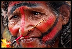photo "Indian Mamaindê"