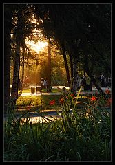 фото "Вечер в парке"