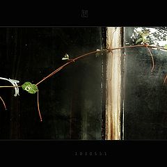 фото "жизнь продолжается"