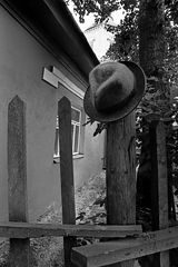 photo "***"