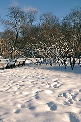 фото "солнечный день"