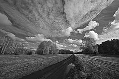фото "Ч/Б дорога"