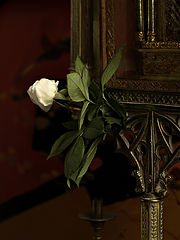 photo "***"