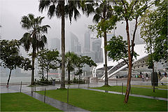 photo "The rain"