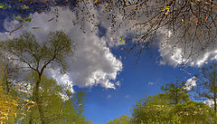 photo "The reflection of the spring. Inverted World."