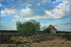 photo "***"
