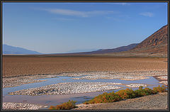 photo "Death valley. April."