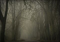 photo "*"