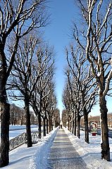 фото "февраль"