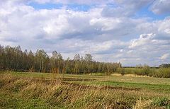 photo "***"