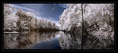 photo "***"