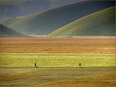 photo "The Photographers"