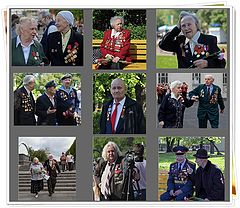 photo "warriors winners"