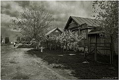 фото "цвет"