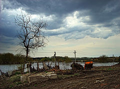 фото "..половодье, финал.."
