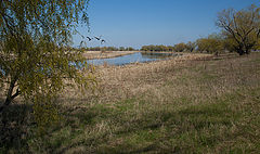 photo "***"