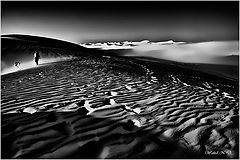 Фотоальбом "Desert-scape"