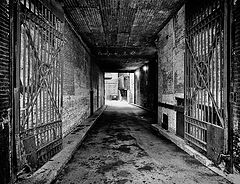 фото "Задний двор"