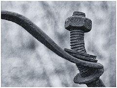photo "***"