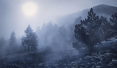 photo "***"