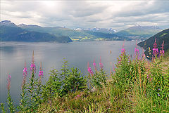 photo "Northern summer"