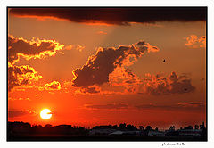 photo "Sunset"