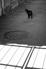 фото "уходя.."
