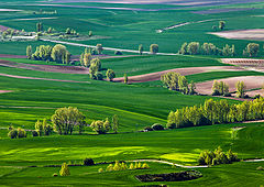 фото "Весенние краски"