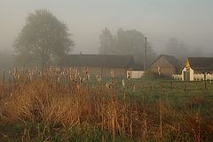 photo "Away from the road"