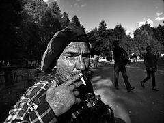 photo "view of the artist"