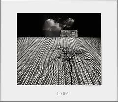photo "limits"