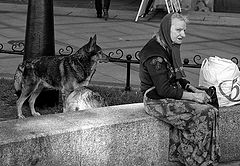 фото "недобрая.."