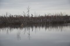 фото "Дикие места"