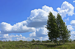 photo "***"