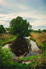 photo "Pastorale"