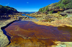 фото "Stream"
