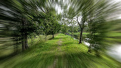 photo "***"
