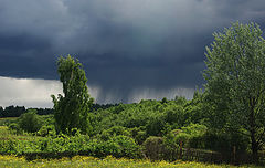 фото "Перед дождем"