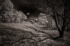 photo "***"