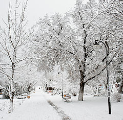 фото "Зимний парк"