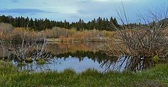 photo "вечерний пруд ..."