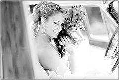 фото "***"