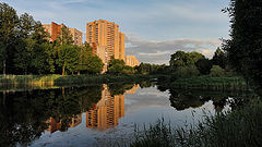 photo "***"