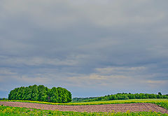 photo "***"