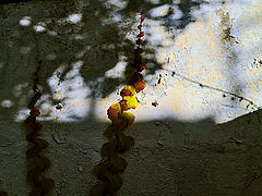 photo "***"