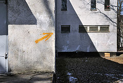 фото "***"